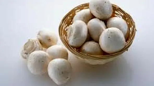 لیست قیمت روز انواع قارچ در تاریخ 25 و 26خرداد