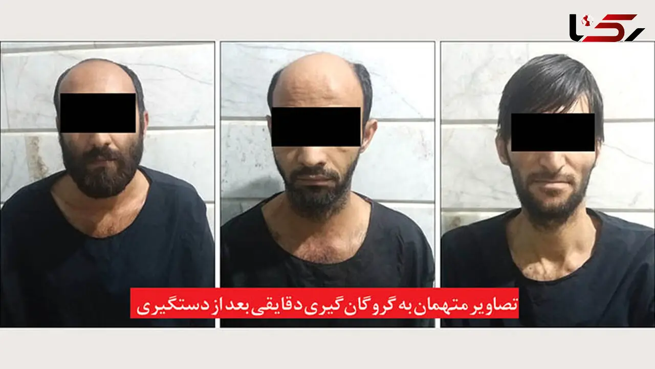 وسوسه شیطانی پسر جوان برای آقا و خانم دکتر / با زنجیر مرا بسته بودند !+ عکس 3 تبهکار خشن