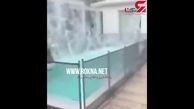 شکنجه دردناک خوک توسط تعدادی جوان + فیلم / اروگوئه