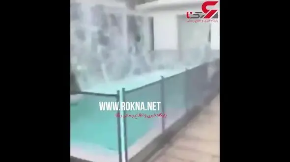شکنجه دردناک خوک توسط تعدادی جوان + فیلم / اروگوئه