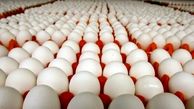 قیمت تخم‌مرغ بعد از جنگ 12 روزه کاهش یافت!