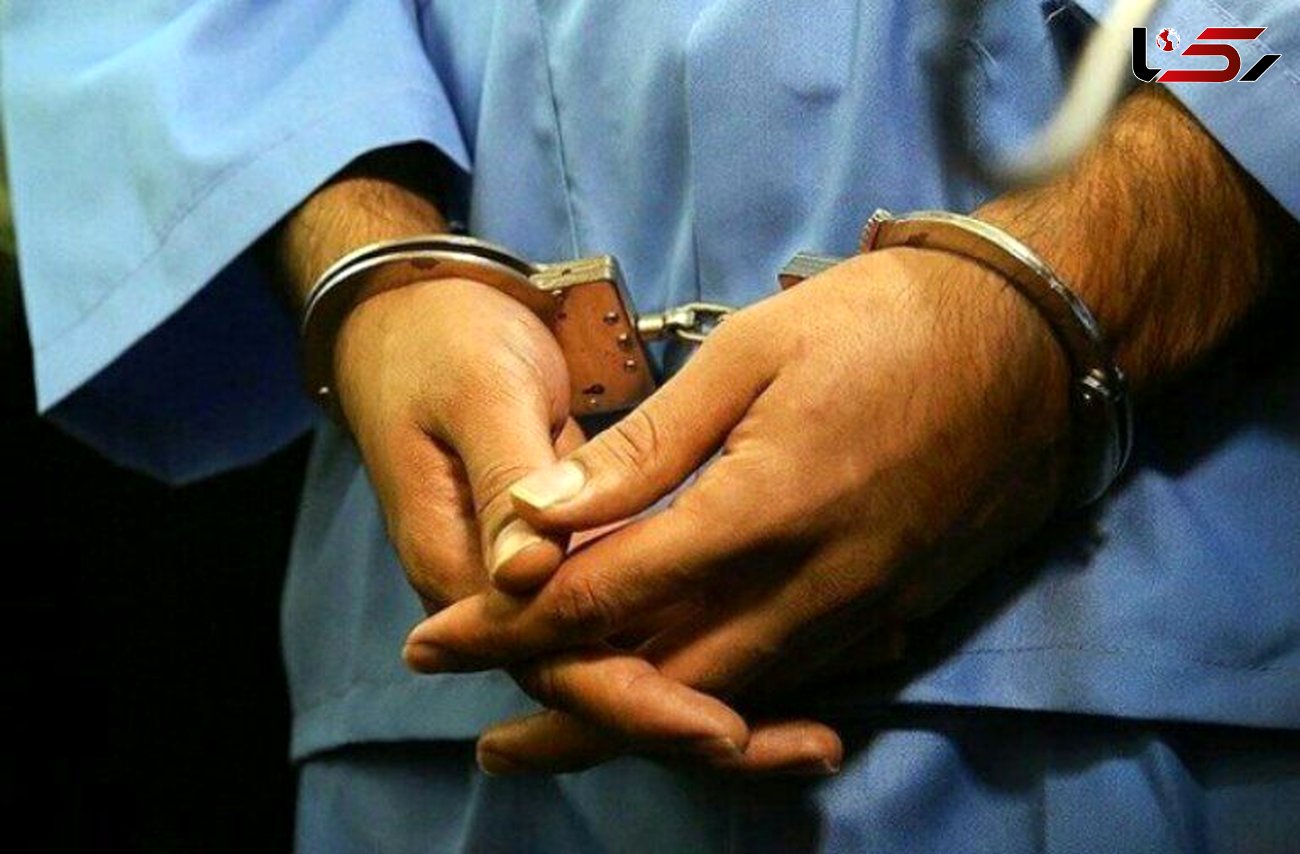  سارق کارخانه آجرپزی صنعتی در مغان بازداشت شد