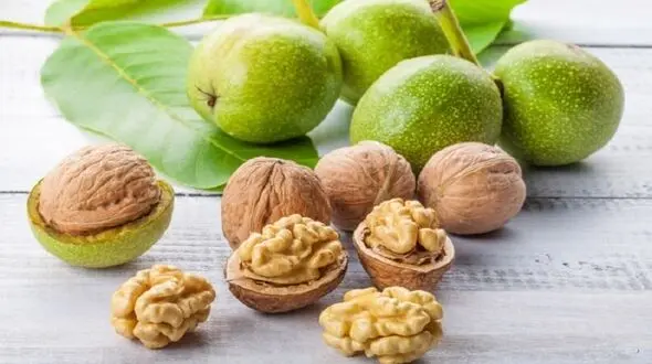 سلامت رگ های خونی با یک مشت گردو
