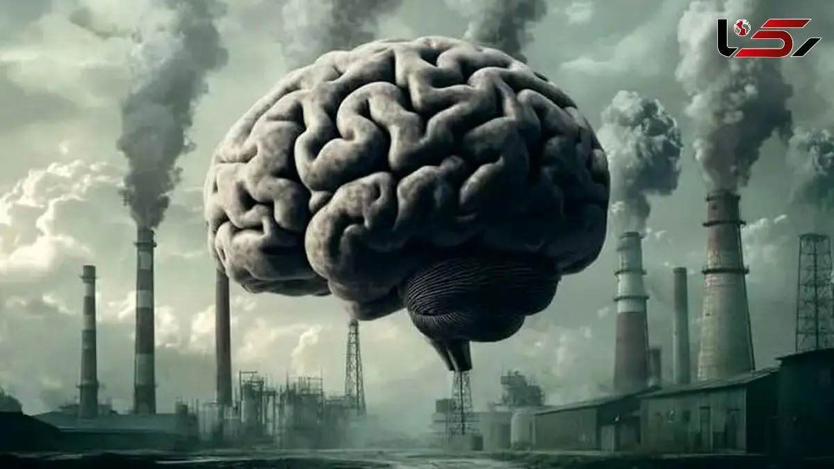 چگونه آلودگی هوا می‌ تواند مغز را پیر کند؟ اثرات پنهان را بشناسید!