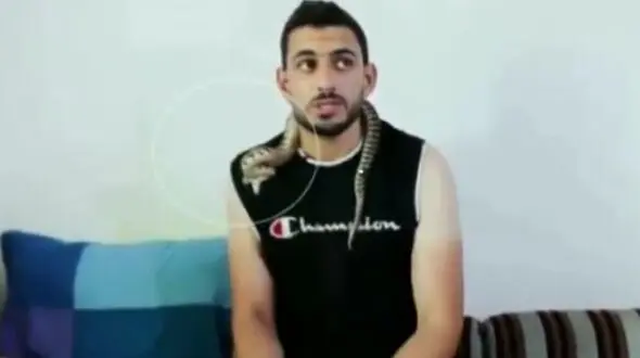 حمله افعی به کارشناس خود در برنامه زنده+ فیلم وحشتناک