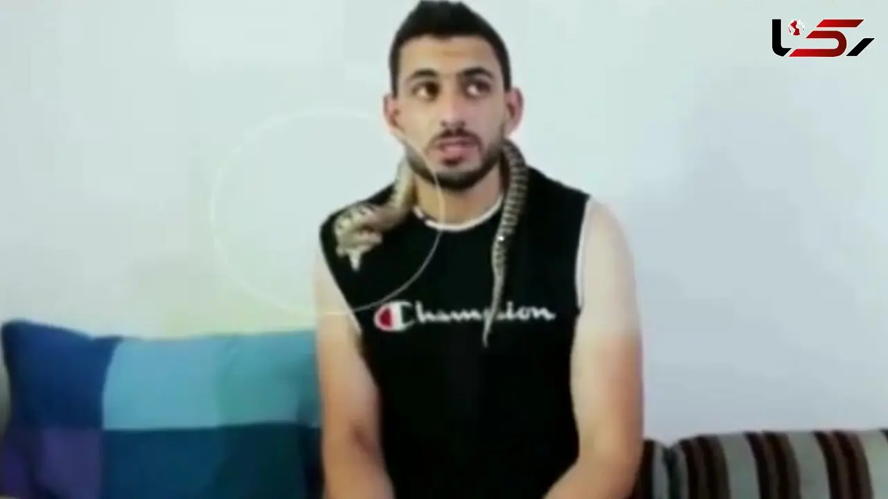 حمله افعی به کارشناس خود در برنامه زنده+ فیلم وحشتناک