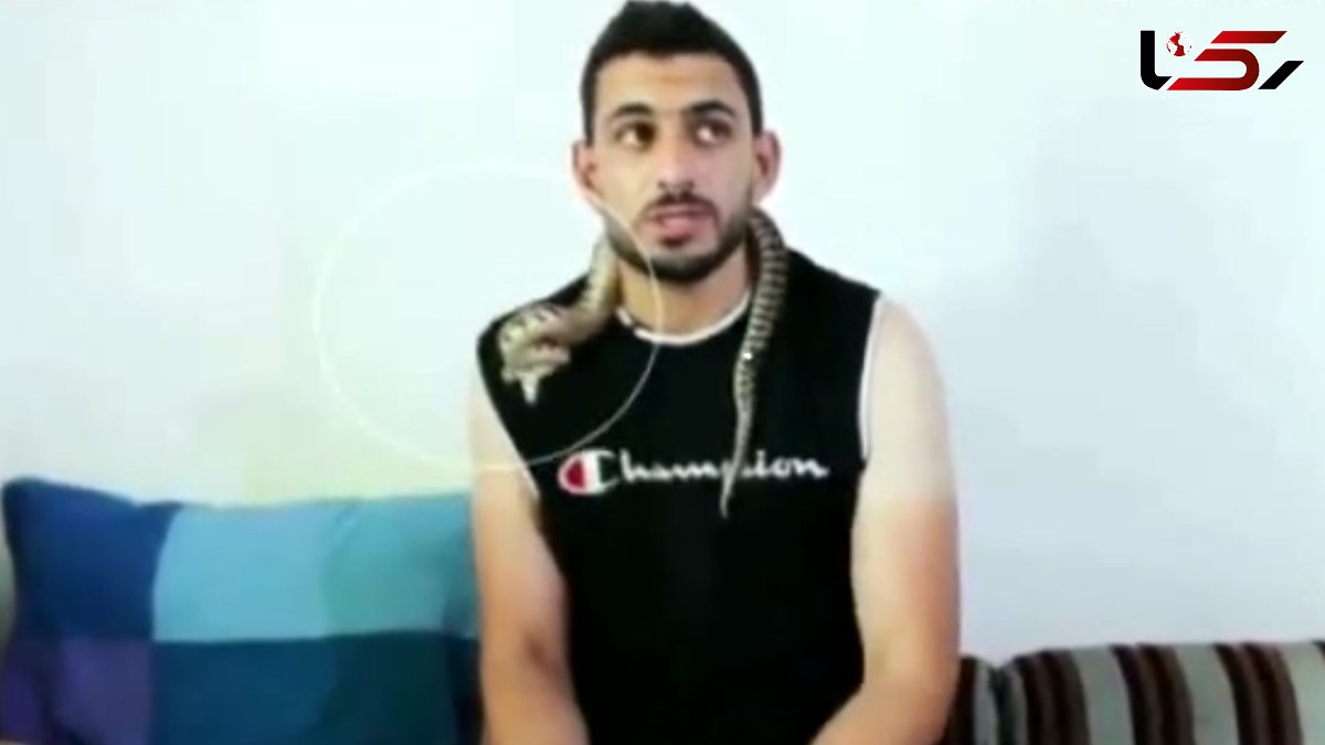 حمله افعی به کارشناس خود در برنامه زنده+ فیلم وحشتناک