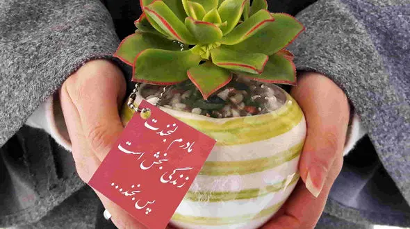 13 گل مناسب برای هدیه روز مادر 