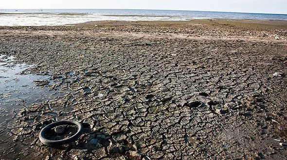 مرگ تدریجی تنها دریای خزر + فیلم