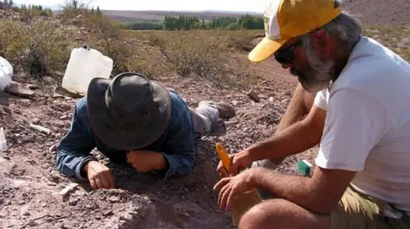 کشف بقایای عجیب‌ترین دایناسور جهان
