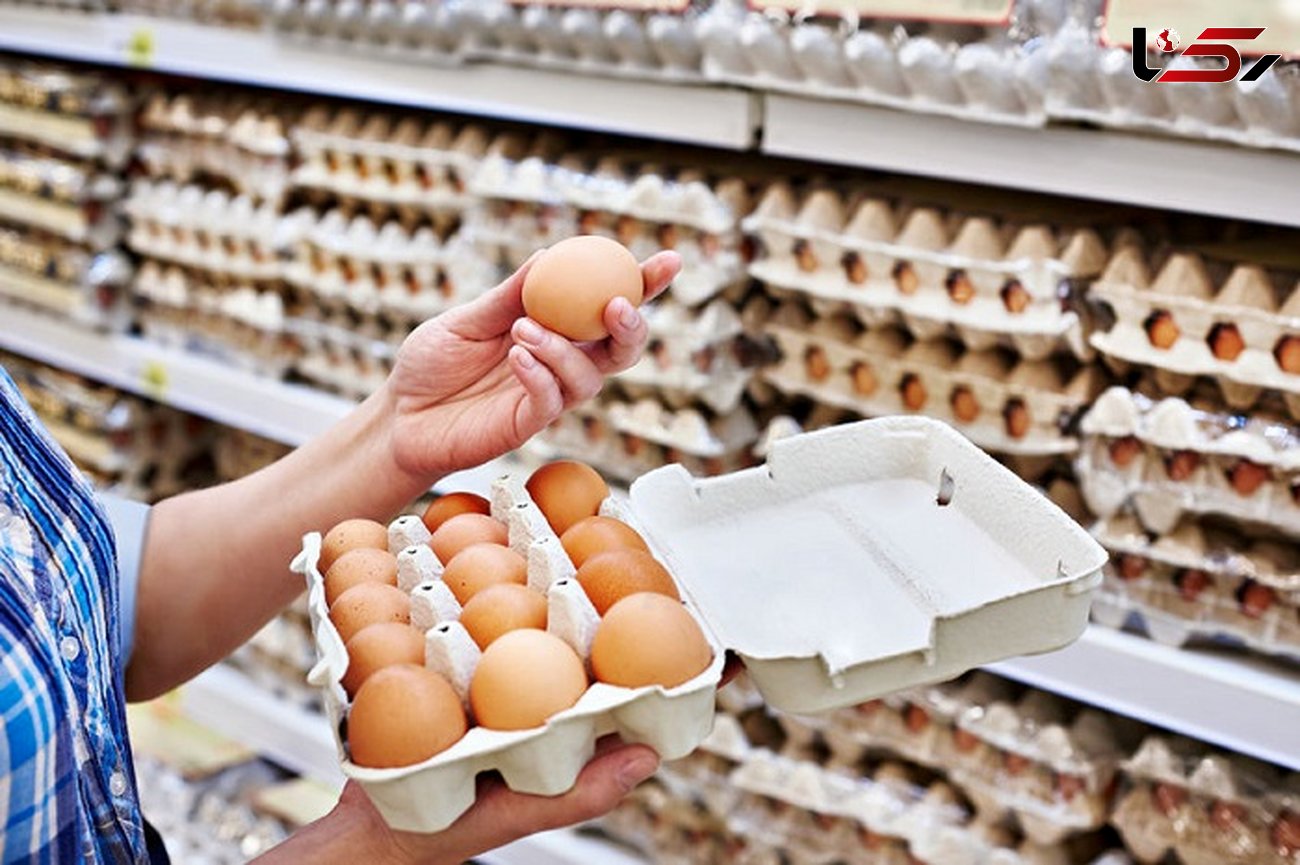 دلیل افزایش قیمت تخم‌مرغ چیست؟ 