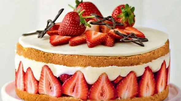 14 ژوئن روز جهانی کیک توت‌ فرنگی؛ جشنی برای یکی از محبوب‌ ترین دسرهای دنیا / طرز تهیه کیک توت فرنگی