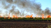 آتش سوزی برگ در یکی از روستاهای اهواز / 100 نخل در آتش سوخت 