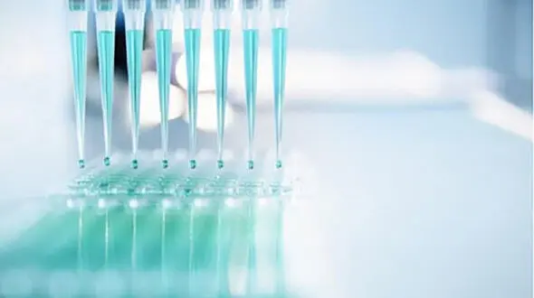 طراحی و تولید داخل کیت تشخیص سریع آفلاتوکسین M1 در شیر