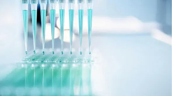 طراحی و تولید داخل کیت تشخیص سریع آفلاتوکسین M1 در شیر