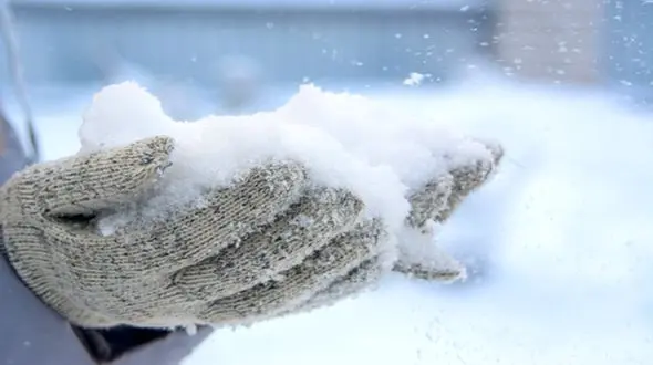 چاقی یا لاغری در سرما؟ تاثیر شگفت‌ انگیز دمای هوا بر متابولیسم بدن