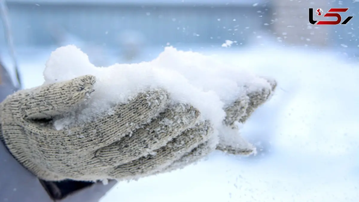 چاقی یا لاغری در سرما؟ تاثیر شگفت‌ انگیز دمای هوا بر متابولیسم بدن