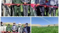 افتتاح طرح آبیاری  بارانی در روستای باباکندی