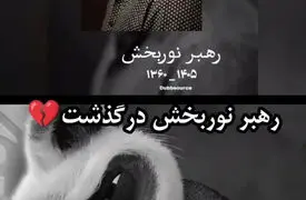 گوینده کاراکتر خاطره انگیز استاد شیفو درگذشت