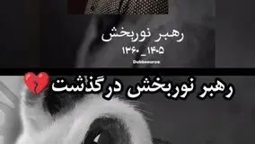 گوینده کاراکتر خاطره انگیز استاد شیفو درگذشت