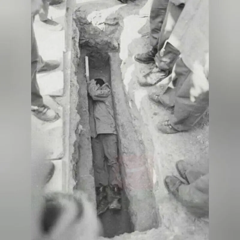 سردار باقری