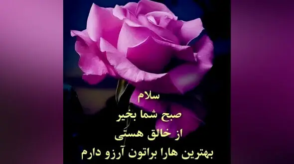 فال و طالع روزانه 23 اردیبهشت + فیلم 