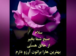 فال و طالع روزانه 23 اردیبهشت + فیلم 
