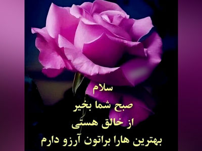 فال و طالع روزانه 23 اردیبهشت + فیلم 