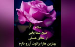 فال و طالع روزانه 23 اردیبهشت + فیلم