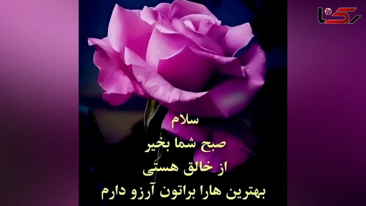 فال و طالع روزانه 23 اردیبهشت + فیلم 