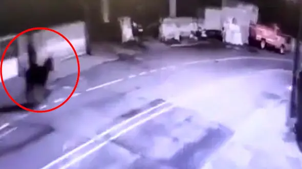 فیلم / عجیب‌ترین دزدی دنیا از طلافروشی و فرار با الاغ