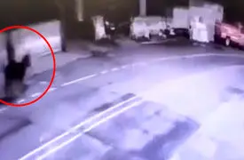 فیلم / عجیب‌ترین دزدی دنیا از طلافروشی و فرار با الاغ