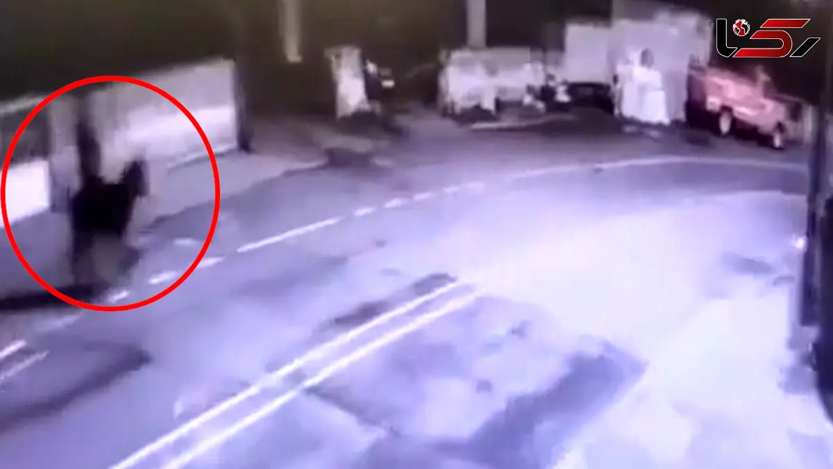 فیلم / عجیب‌ترین دزدی دنیا از طلافروشی و فرار با الاغ