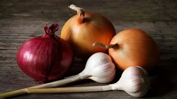 خطرات مصرف زیاد سیر و پیاز برای بدن