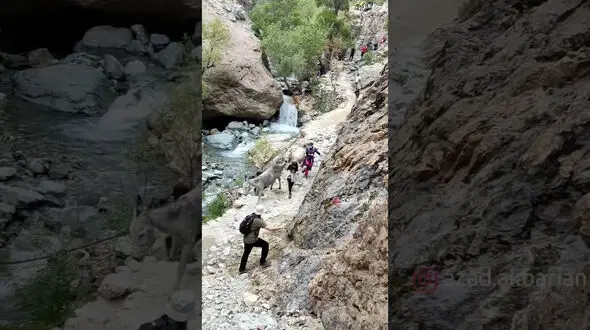 فیلم رم کردن 2 الاغ در اوین درکه / پسر جوان به پایین پرت کردند !