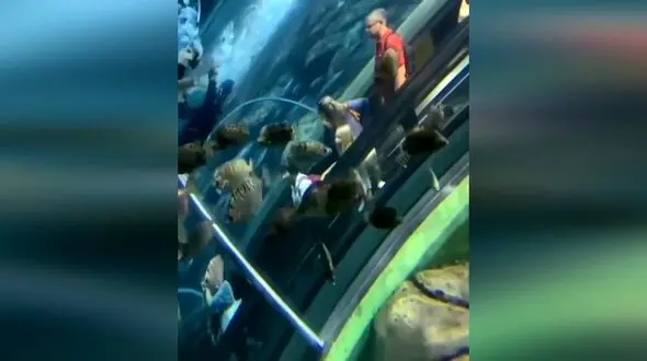 خاص ترین پله برقی دنیا + فیلم
