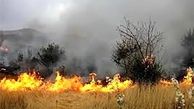  آتش سوزی منطقه خائیز ادامه دارد  / علت آتش سوزی مشخص شد + فیلم