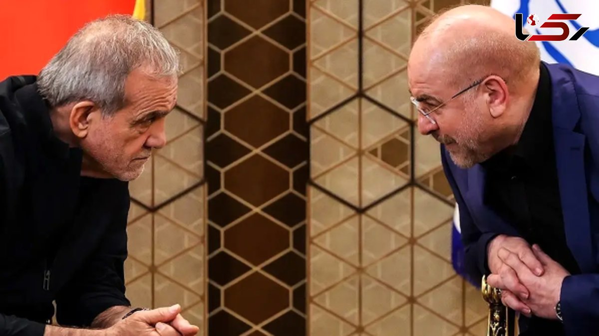 What Is the Structure of the Defense Council, and Who Will Chair It?
