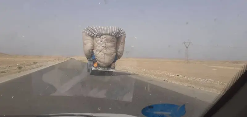 تاراج اندوخته های دامی خوزستان 2