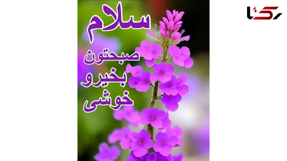 فال و طالع بینی امروز 15 مرداد + فیلم 
