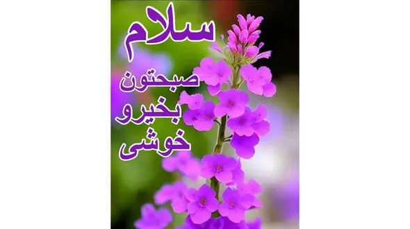 فال و طالع بینی امروز 15 مرداد + فیلم 