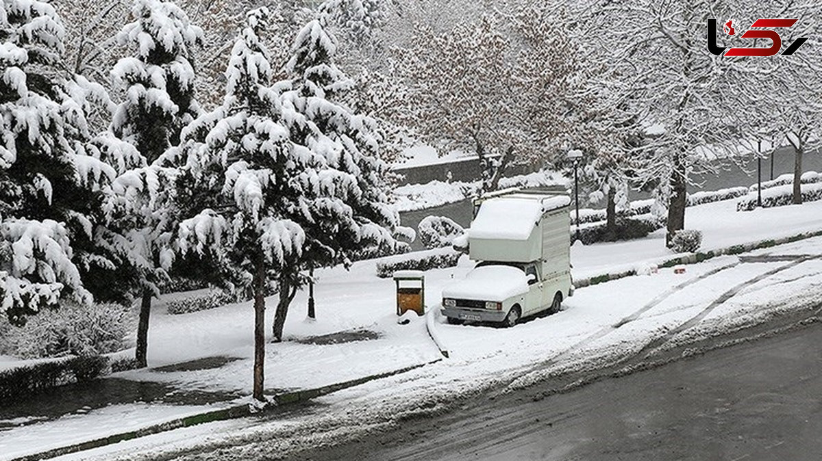 بارش برف در شهر همدان + فیلم 