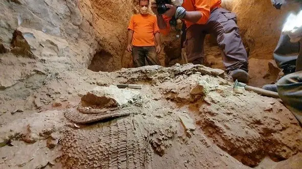  کشف سبد 10 هزار ساله در یک غار | عکس ها را ببینید