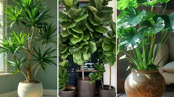 چطور گل تازه‌ ات رو از مرگ نجات بدی؟ نسخه فوری برای عاشقان گل + فیلم