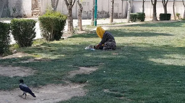  این زنان جرأت بازگشت به خانه را ندارند ! + فیلم 