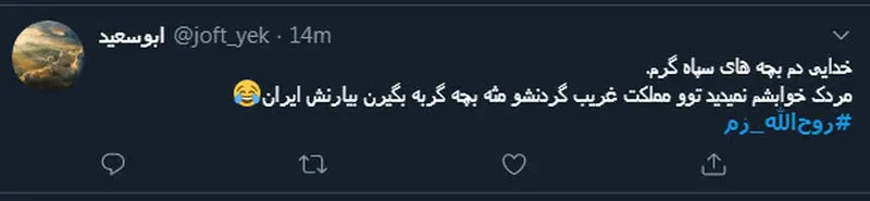  واکنش طنز کاربران در پی‌اعلام خبر دستگیری «سرشاخه آمدنیوز» توسط سپاه پاسداران + تصاویر 