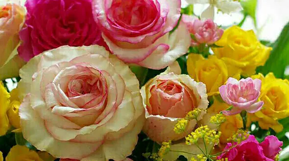 فال روزانه شخصی / 5 مهر ماه + فیلم