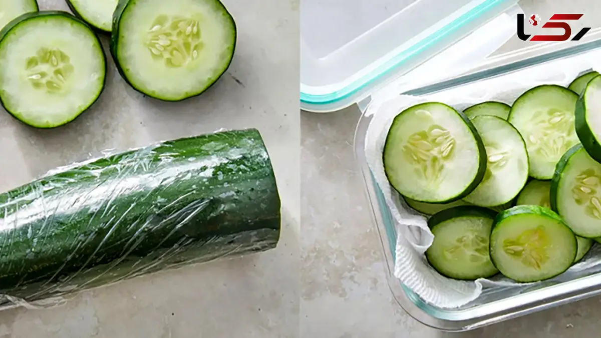 بهترین روش های نگهداری خیار در یخچال برای مدت طولانی