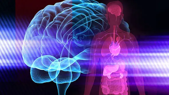 انواع التهاب در بدن 