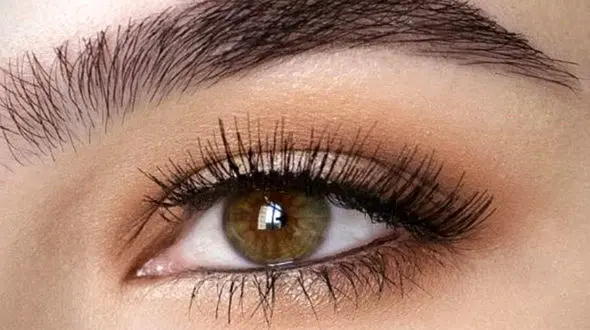 راز داشتن ابروهای زیبا و پرپشت